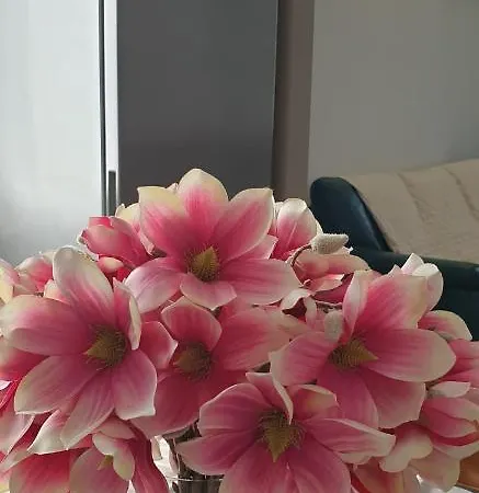 Rosy شقة بسكييرا ديل غاردا