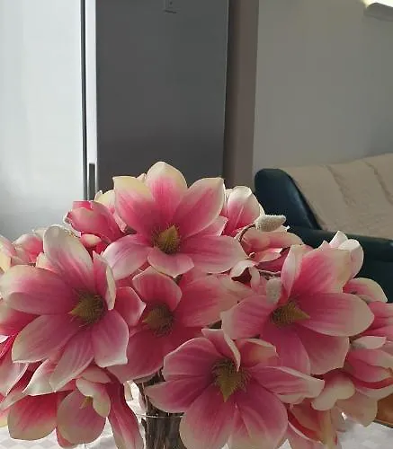 Rosy شقة بسكييرا ديل غاردا