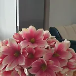 Rosy Apartman Peschiera del Garda